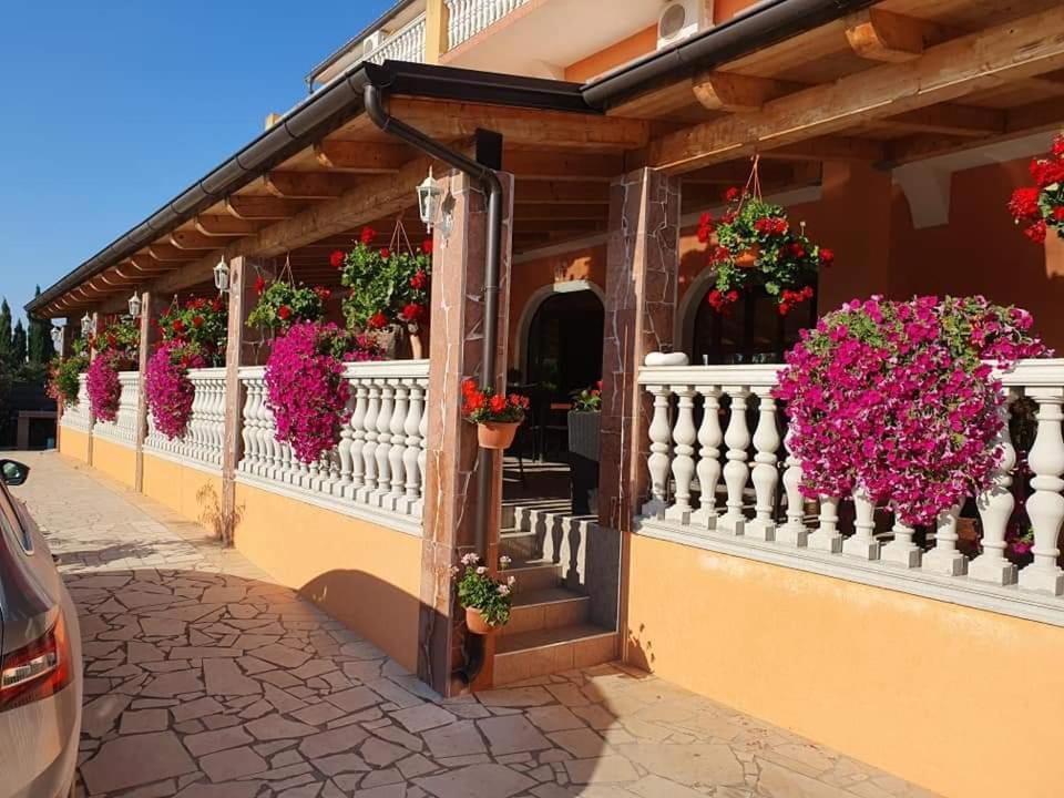 Villa Nikolina Medulin Exteriör bild